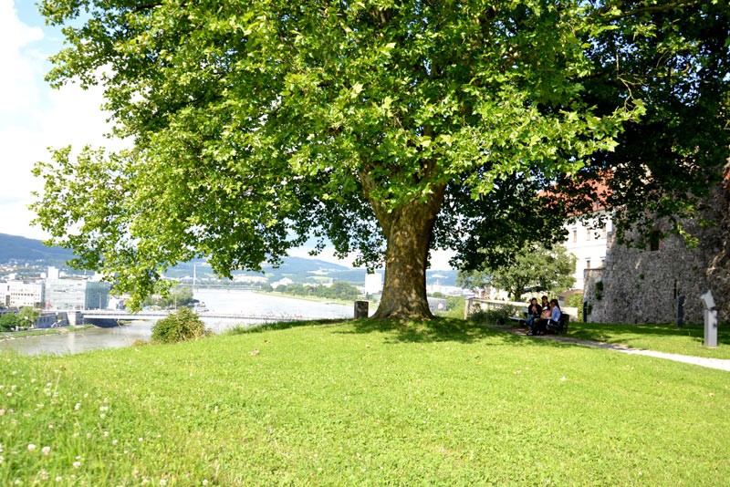 Donaulände